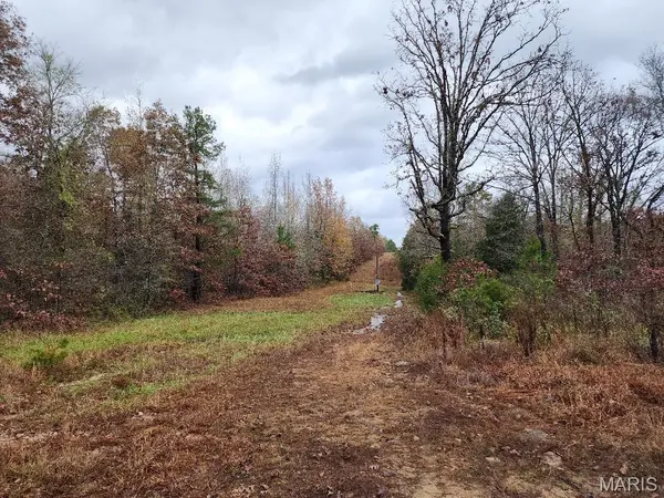0 Carter Route 266, Grandin, MO 63943