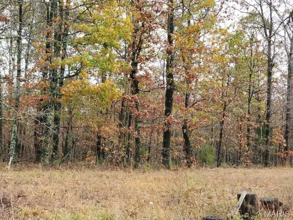 0 Carter Route 266, Grandin, MO 63943