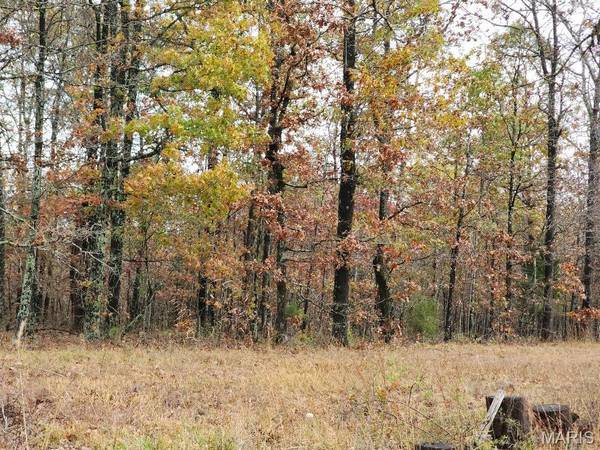 0 Carter Route 266, Grandin, MO 63943