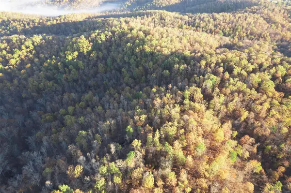 0 County Road 336, Annapolis, MO 63620