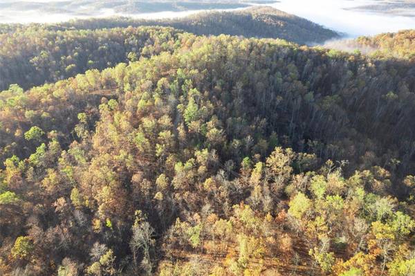 0 County Road 336, Annapolis, MO 63620