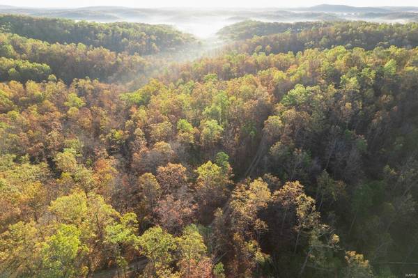 0 County Road 336, Annapolis, MO 63620