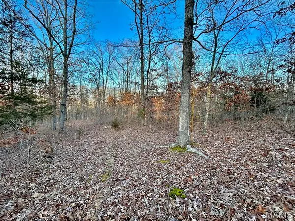 TBD Tract 1 Highway CC, Salem, MO 65560