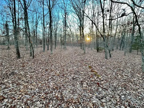 TBD Tract 1 Highway CC, Salem, MO 65560