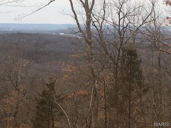 31 Simms RD, Park Hills, MO 63601