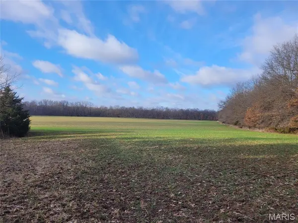 0 Bales Rd. (55.3+/- Acres), Middletown, MO 63359