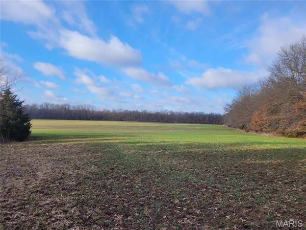 0 Bales Rd. (55.3+/- Acres), Middletown, MO 63359