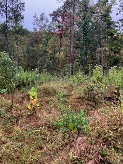 158 Madison CR 410, Fredericktown, MO 63645