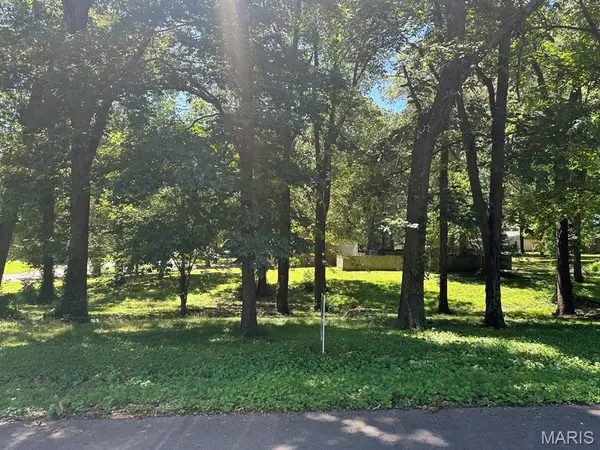 0 Lewis & Albert ST, Dexter, MO 63841