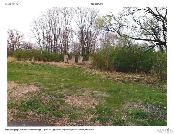 805 Piggott, East St Louis, IL 62201