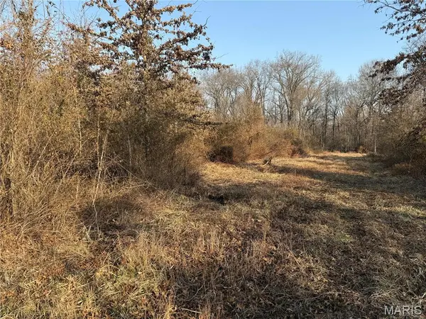 0 6.65 ac Kaskaskia Rd, Waterloo, IL 62298