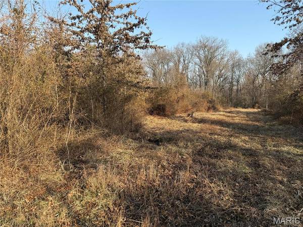 0 6.65 ac Kaskaskia Rd, Waterloo, IL 62298