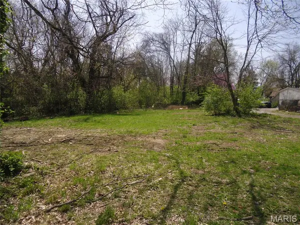 6 N 95th ST, Belleville, IL 62223