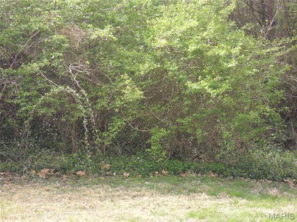 100 S 98th ST, Belleville, IL 62223