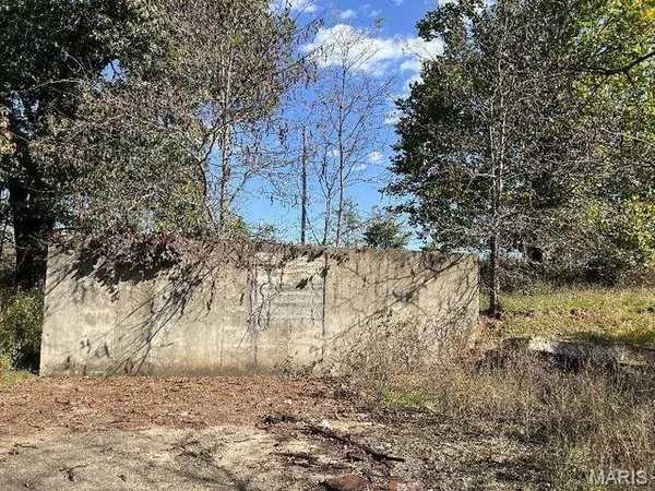 0 Date Drive, Summersville, MO 65571