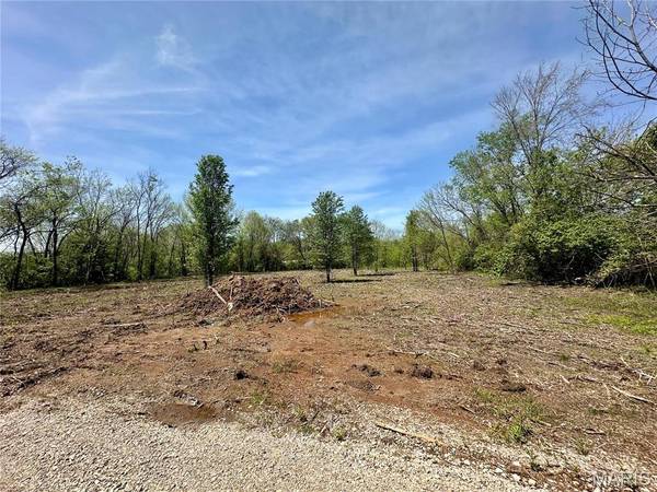 2 Potosi ST, Farmington, MO 63640