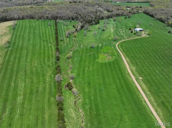 13336 Mount Olive RD, De Soto, MO 63020