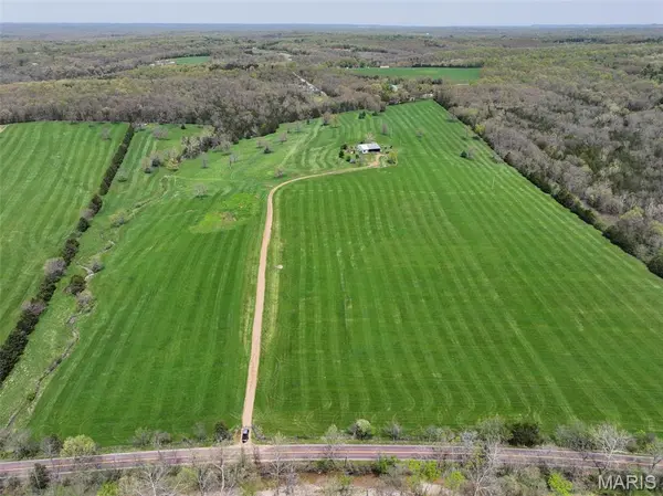 13336 Mount Olive RD, De Soto, MO 63020