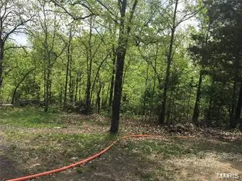 1002 Hidden Valley Lake, Annapolis, MO 63620
