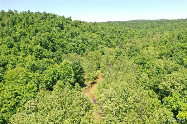 TBD Carter 224, Grandin, MO 63943