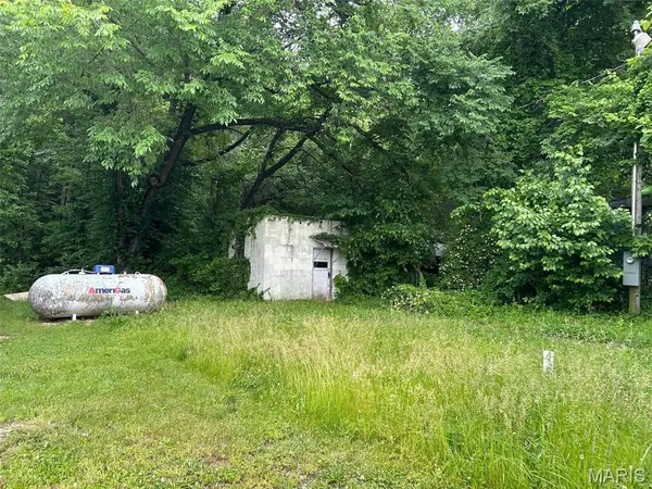 305 Pine ST, Steelville, MO 65565