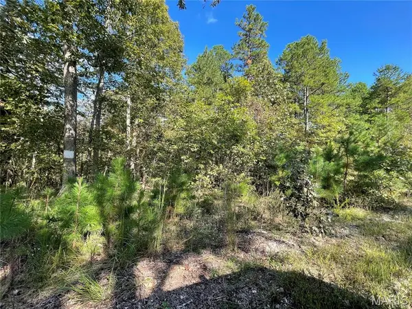4 Woodland Heights W, Poplar Bluff, MO 63901
