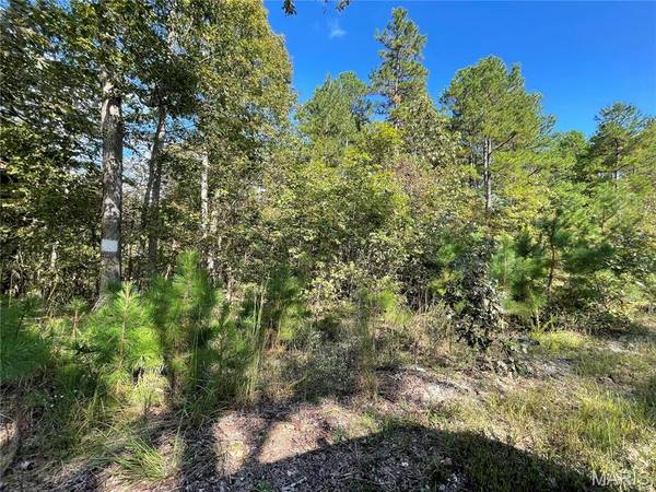 4 Woodland Heights W, Poplar Bluff, MO 63901