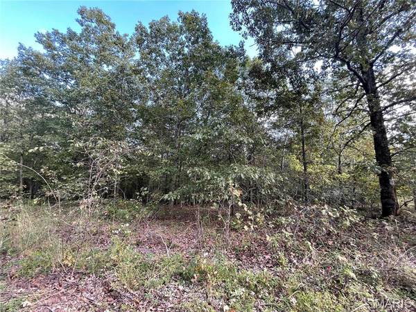 10 Woodland Heights W, Poplar Bluff, MO 63901