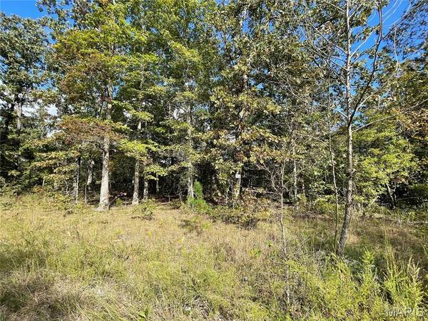 11 Woodland Heights W, Poplar Bluff, MO 63901