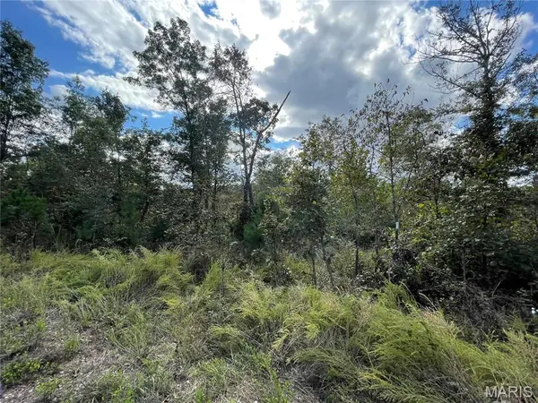 13 Woodland Heights W, Poplar Bluff, MO 63901