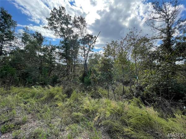 13 Woodland Heights W, Poplar Bluff, MO 63901