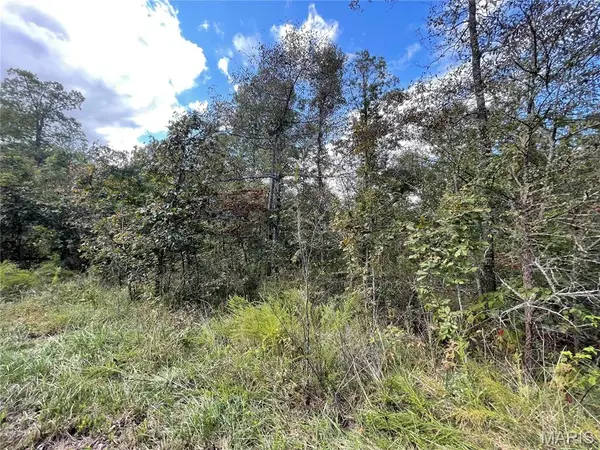 14 Woodland Heights W, Poplar Bluff, MO 63901