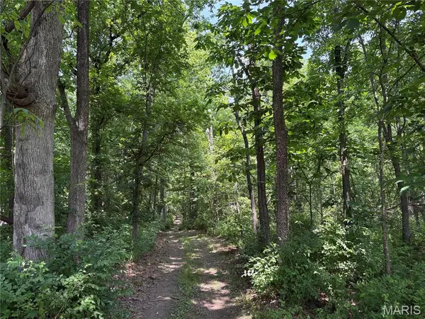 671 Birkhead RD, Winfield, MO 63389