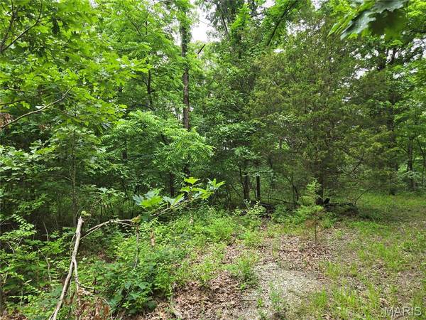 0 Mark Peterson DR, Wright City, MO 63390