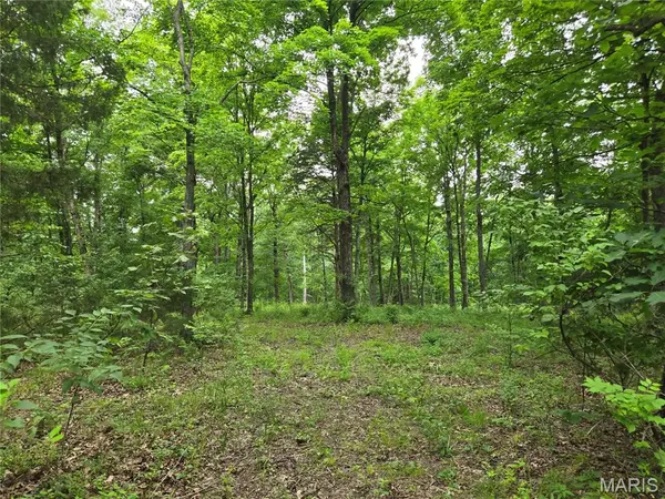 0 Mark Peterson DR, Wright City, MO 63390