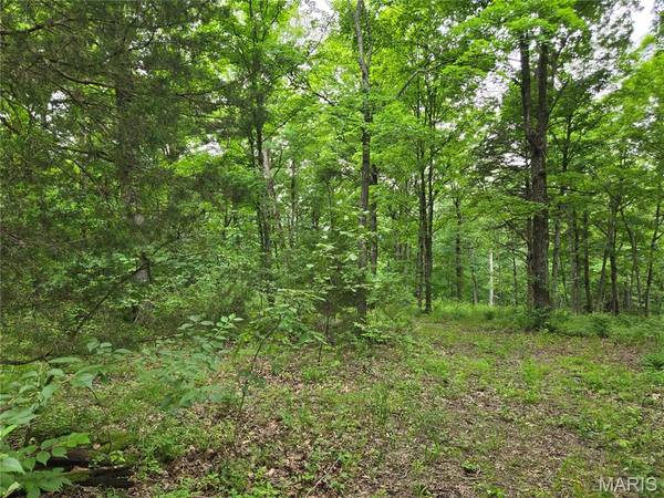 0 Mark Peterson DR, Wright City, MO 63390