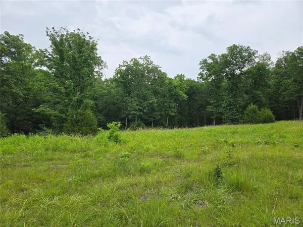 0-1 Mark Peterson DR, Wright City, MO 63390