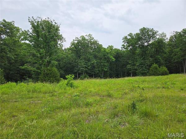0-1 Mark Peterson DR, Wright City, MO 63390