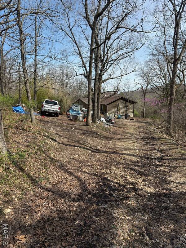 9694 Carron RD, Bloomsdale, MO 63627