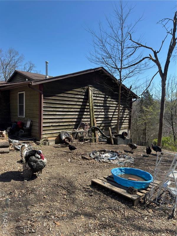 9694 Carron RD, Bloomsdale, MO 63627