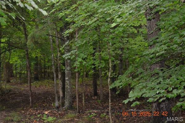 0 Old Cadet Rd, Bonne Terre, MO 63628