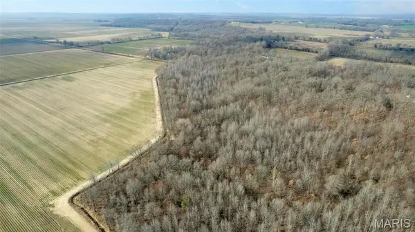 0 County Road 633, Dexter, MO 63841