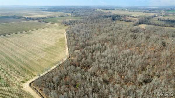 0 County Road 633, Dexter, MO 63841