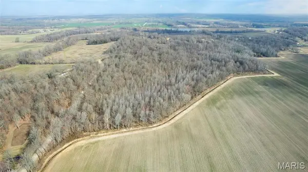 0 County Road 633, Dexter, MO 63841