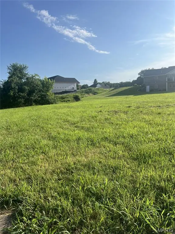 1393 Warren Lake DR, Jackson, MO 63755