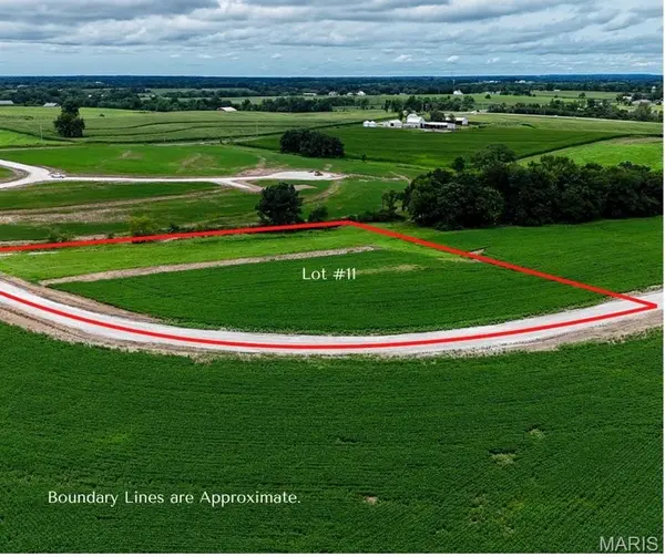 239 Autumn Hallow Ct, Old Monroe, MO 63369