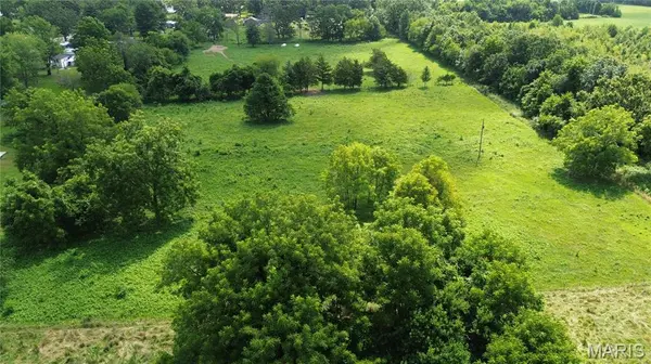 TBD Walker AVE, Licking, MO 65542