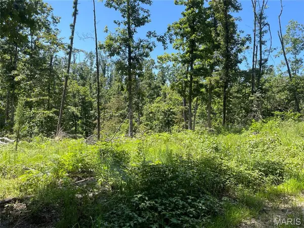 000 County Road 457, Ellsinore, MO 63957