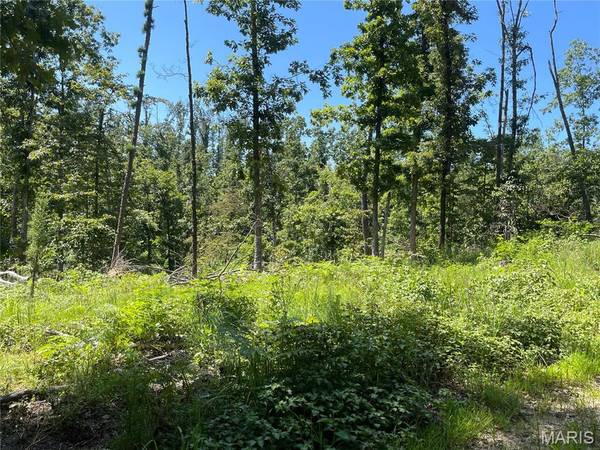 000 County Road 457, Ellsinore, MO 63957