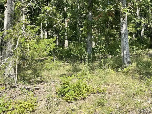 TBD Forest View, Steelville, MO 65565